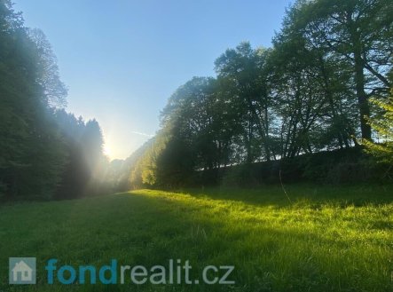 Prodej pozemku, zemědělská půda, 3 829 m²