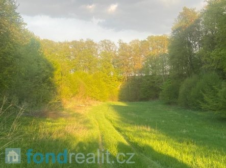 Prodej pozemku, zemědělská půda, 3 829 m²