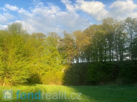 Prodej pozemku, zemědělská půda, 3 829 m²