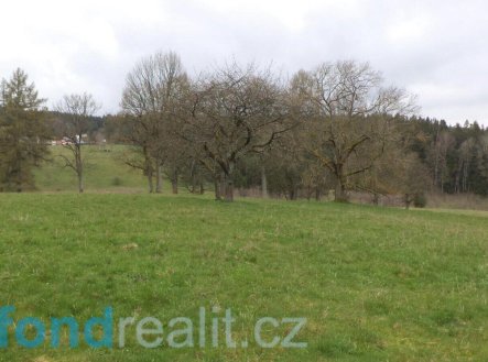 Prodej pozemku, zemědělská půda, 22 368 m²