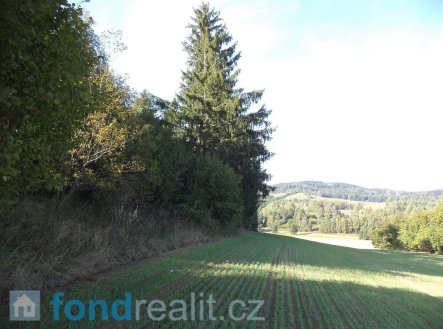 Prodej pozemku, zemědělská půda, 2 385 m²