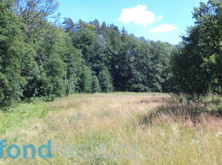 Prodej pozemku, zemědělská půda, 19 744 m²