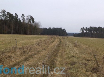 Prodej pozemku, zemědělská půda, 3 739 m²