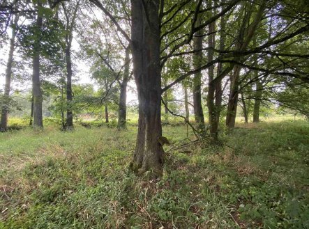 Prodej pozemku, zemědělská půda, 2 776 m²