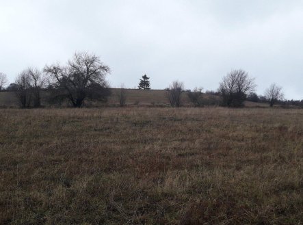 Prodej pozemku, zemědělská půda, 25 028 m²