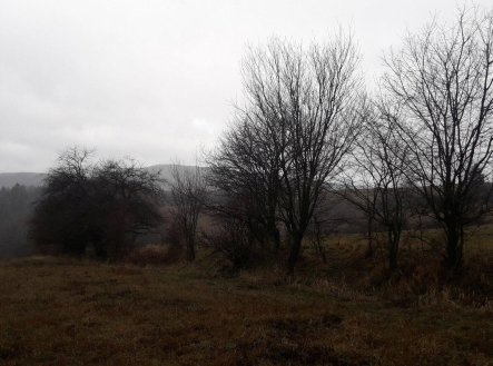 Prodej pozemku, zemědělská půda, 25 028 m²