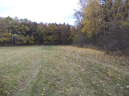 Prodej pozemku, zemědělská půda, 15 078 m²