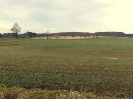 Prodej pozemku, zemědělská půda, 9 169 m²