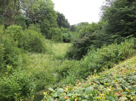 Prodej pozemku, ostatní, 1 548 m²