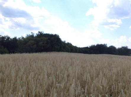 Prodej pozemku, zemědělská půda, 27 085 m²