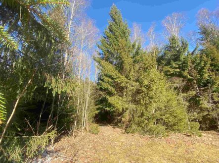 Prodej pozemku, zemědělská půda, 1 644 m²