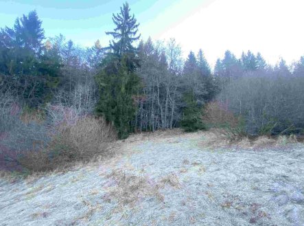 Prodej pozemku, zemědělská půda, 2 377 m²