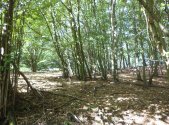 Prodej pozemku, zemědělská půda, 14 517 m²