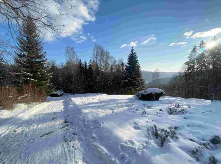 Prodej pozemku, ostatní, 590 m²