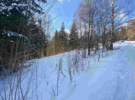 Prodej pozemku, ostatní, 590 m²