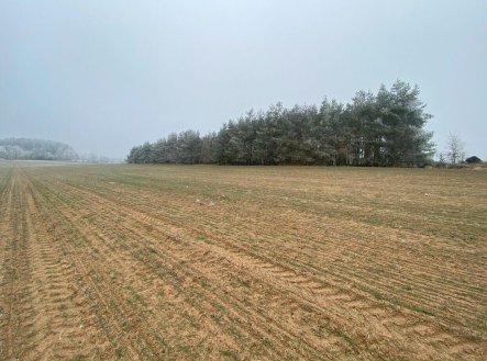 Prodej pozemku, zemědělská půda, 13 059 m²