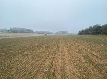 Prodej pozemku, zemědělská půda, 13 059 m²