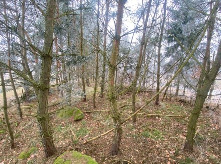 Prodej pozemku, zemědělská půda, 13 059 m²