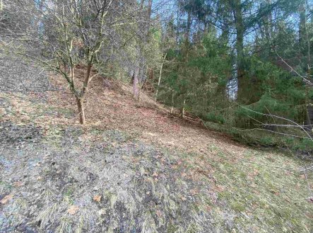 Prodej pozemku, ostatní, 858 m²