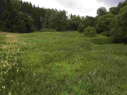 Prodej pozemku, zemědělská půda, 22 334 m²