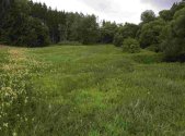 Prodej pozemku, zemědělská půda, 22 334 m²