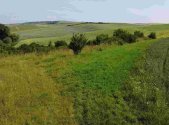 Prodej - pozemek, zemědělská půda, 3 134 m²