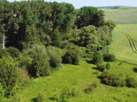 Prodej pozemku, zemědělská půda, 3 134 m²