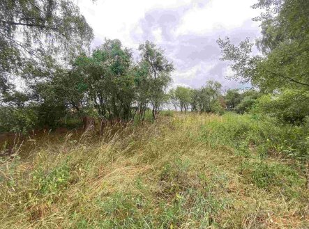 Prodej pozemku, ostatní, 2 230 m²