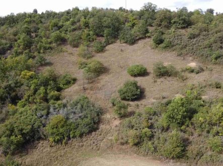 Prodej pozemku, zemědělská půda, 22 441 m²