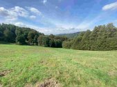 Prodej pozemku, ostatní, 10 593 m²