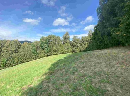 Prodej pozemku, ostatní, 10 593 m²