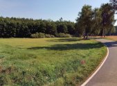 Prodej pozemku, zemědělská půda, 6 021 m²