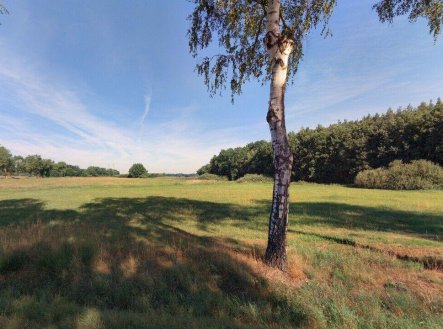 Prodej pozemku, zemědělská půda, 6 021 m²