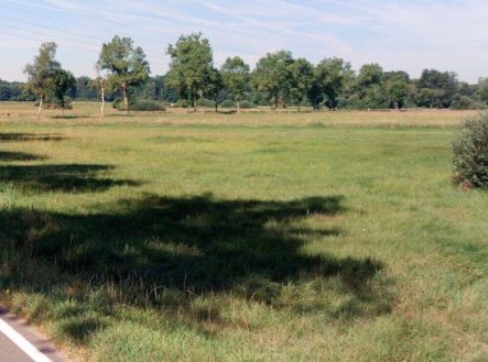 Prodej pozemku, zemědělská půda, 6 021 m²