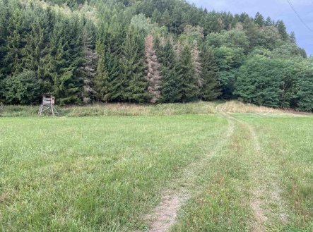 Prodej pozemku, zemědělská půda, 2 289 m²