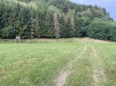 Prodej pozemku, zemědělská půda, 2 289 m²