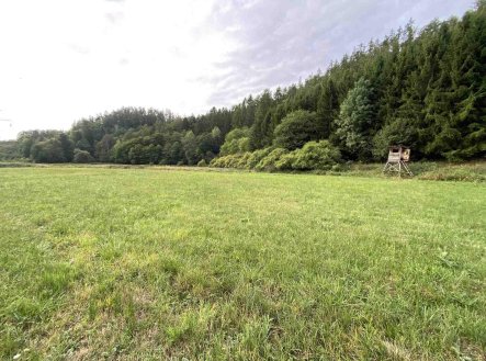 Prodej pozemku, zemědělská půda, 2 289 m²