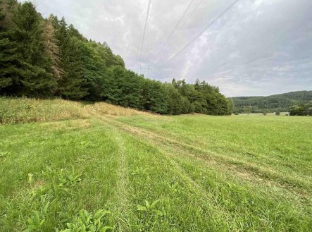 Prodej pozemku, zemědělská půda, 2 289 m²