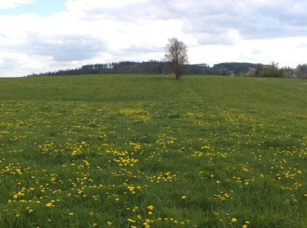 Prodej pozemku, ostatní, 10 063 m²