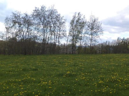 Prodej pozemku, ostatní, 10 063 m²
