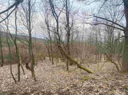 Prodej pozemku, ostatní, 1 000 m²