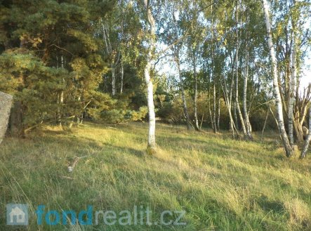 Prodej pozemku, zemědělská půda, 7 261 m²