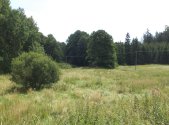 Prodej pozemku, zemědělská půda, 13 137 m²