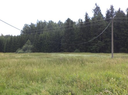 Prodej pozemku, zemědělská půda, 13 137 m²