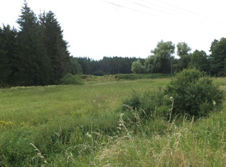 Prodej pozemku, zemědělská půda, 13 137 m²