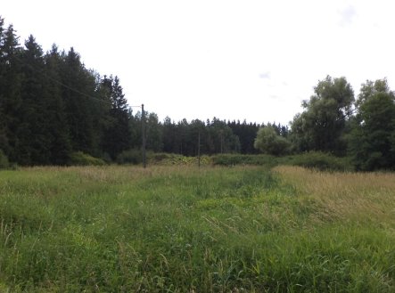 Prodej pozemku, zemědělská půda, 13 137 m²