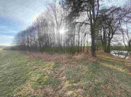 Prodej pozemku, ostatní, 1 109 m²
