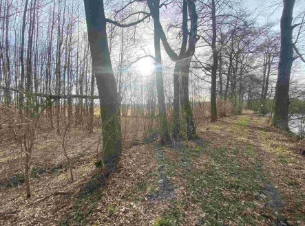 Prodej pozemku, ostatní, 1 109 m²