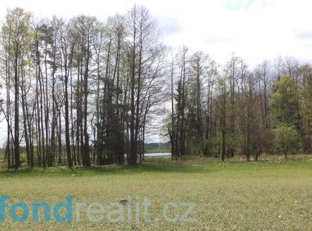 Prodej pozemku, ostatní, 6 528 m²