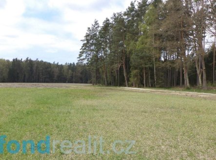 Prodej pozemku, ostatní, 6 528 m²